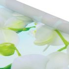 Штора-ролет Магеллан (шторы и фурнитура) «Орхидея», размер 50×160 см, цвет голубой - Фото 2