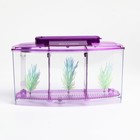 Аквариумный набор трехсекционный, с подсветкой LED, 2.55 л, фиолетовый - Фото 2