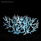 Коралл пластиковый большой 24,5 х 4 х 19 см, голубой - Фото 4