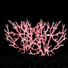 Коралл пластиковый большой 24,5 х 4 х 19 см, розовый - Фото 2