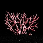 Коралл пластиковый большой 24,5 х 4 х 19 см, розовый - Фото 3