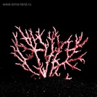 Коралл пластиковый большой 24.5×4×19 см, розовый - Фото 5