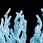 Коралл пластиковый малый 17×6×13 см, голубой - Фото 5