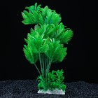 Растение искусственное аквариумное, 32 х 18 х 34 см - Фото 3