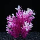 Растение искусственное аквариумное, 15 х 10 х 20 см - Фото 2