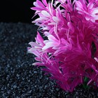 Растение искусственное аквариумное, 15 х 10 х 20 см - Фото 3