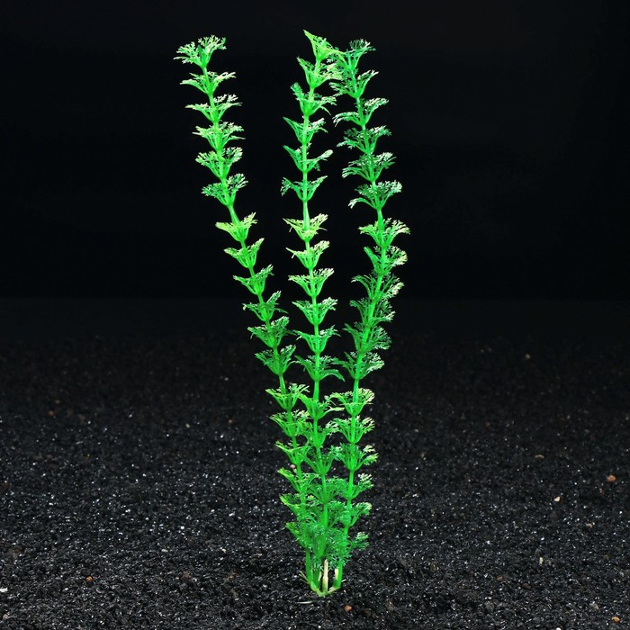 Растение искусственное аквариумное, до 28 см - Фото 1