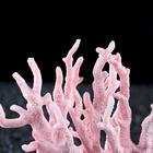 Коралл пластиковый малый 17 х 6 х 13 см, розовый - фото 8280480