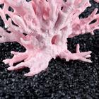 Коралл пластиковый малый 17 х 6 х 13 см, розовый - фото 8280481
