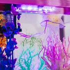 Коралл пластиковый малый 17×6×13 см, розовый - Фото 6