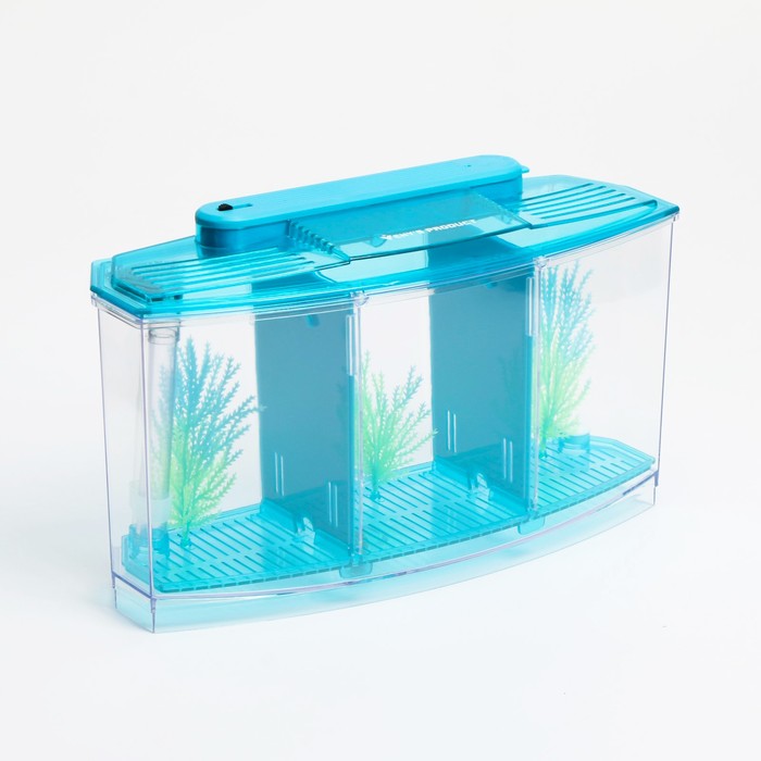 Аквариумный набор трехсекционный, с подсветкой LED, 2.55 л, голубой - Фото 1