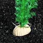 Растение искусственное аквариумное Кабомба Каролинская, 20 см - Фото 2