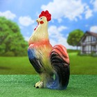 Садовая фигура "Петух", разноцветный, 45 см, микс - Фото 4