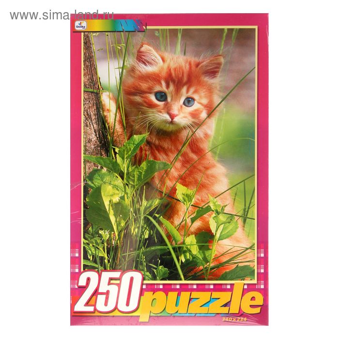 Пазлы «Котенок в траве», 250 элементов - Фото 1