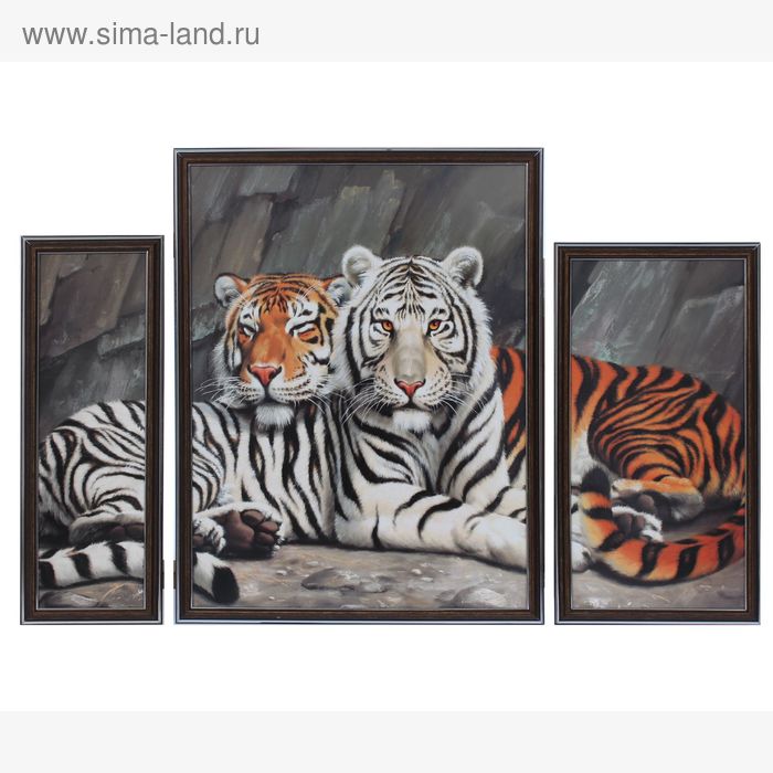 Картина модульная в раме " Два тигра" 41х53см; 23х43см; 15х43см; 53*79 - Фото 1