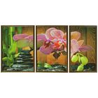 Картина модульная в раме "Розовая орхидея и тёмные камни" 2шт-39х53см; 34х53см;  53*112см - Фото 1