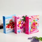 Фотоальбом на 200 фото 10×15 см «Романтика», 18.5×21.5×5.5 см, МИКС - Фото 1