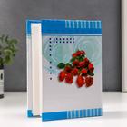 Фотоальбом на 100 фото 10×15 см «Яркость лета», 16.5×13.5×5.5 см, МИКС - Фото 2