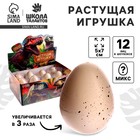Растущие животные натуральное яйцо макси «Динозаврики» МИКС - Фото 1