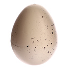 Растущие животные натуральное яйцо макси «Динозаврики» МИКС - Фото 4