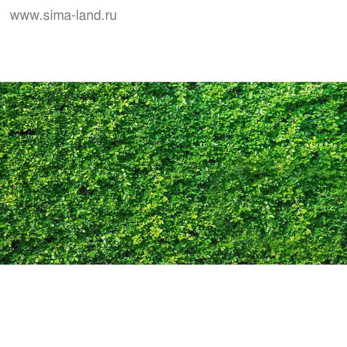 Фотосетка, 250 × 158 см, с фотопечатью, люверсы шаг 1 м, «Зелёная изгородь» - Фото 1