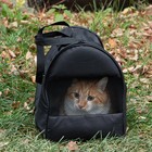 Сумка - переноска для животных "Лонги", 41 х 24 х 30 см микс цветов - Фото 6