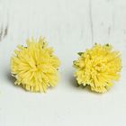 Серьги из полимерной глины "Цветы одуванчика", цвет желтый - Фото 1