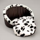 Лежак "Ассоль", 57 x 32 x 28 см, микс цветов - Фото 4