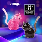 Пазл 3D кристаллический «Кот», 21 деталь, цвета МИКС - Фото 5