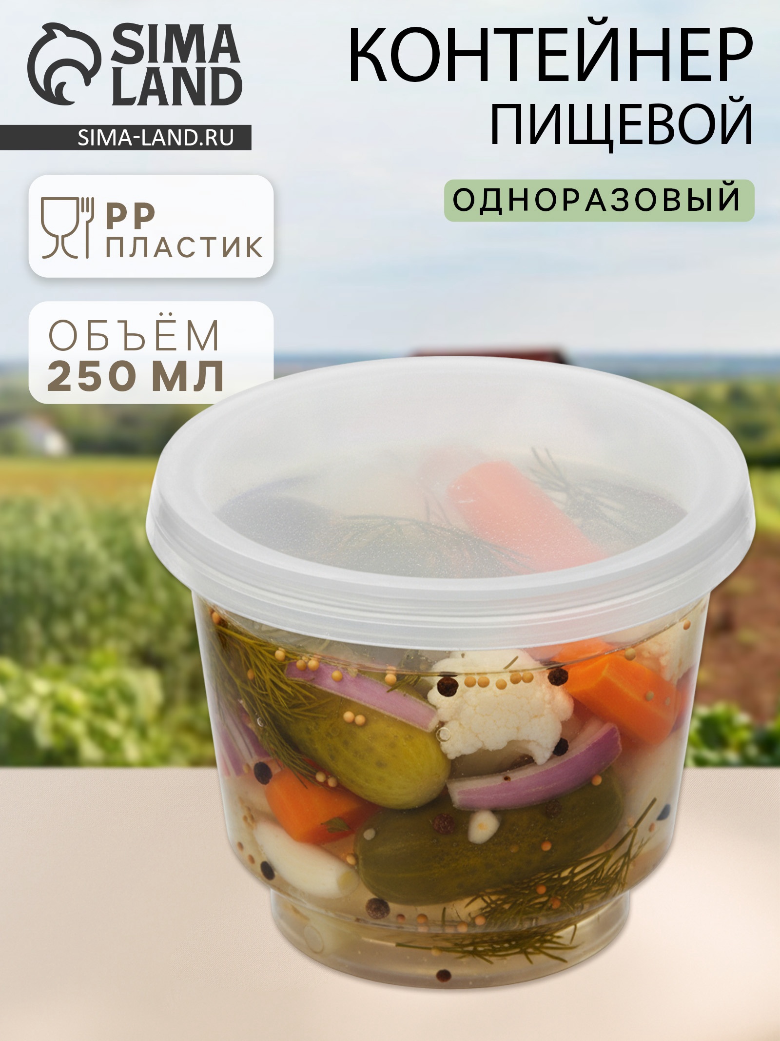 Контейнер пищевой, 250 мл, с герметичной крышкой (1447027) - Купить по ...
