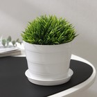 Горшок для цветов с поддоном «ПластоС. Классик», 600 мл, пластиковый, белый - Фото 1