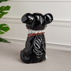 Копилка "Собака Джек", чёрный цвет, глянец, керамика, 26 см - Фото 3