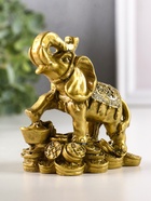 Нэцкэ фигурка «Слон с монетами», полистоун, под бронзу, 8.5×8 см - Фото 2