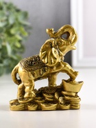 Нэцкэ фигурка «Слон с монетами», полистоун, под бронзу, 8.5×8 см - Фото 3