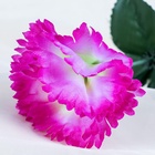 Цветы искусственные «Гвоздика», h=25 см, сиреневые - Фото 3