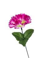 Цветы искусственные «Гвоздика», h=25 см, сиреневые - Фото 5