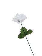 Цветы искусственные «Гвоздика», h=25 см, белые - Фото 5