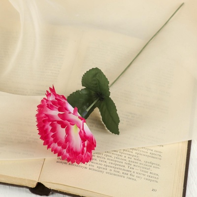 Цветы искусственные «Гвоздика», h=25 см, розовые