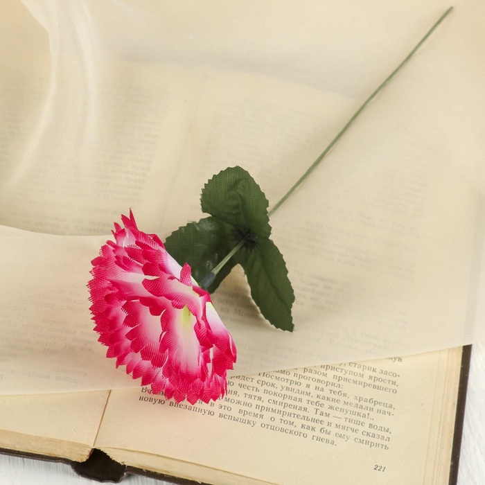 Цветы искусственные «Гвоздика», h=25 см, розовые - Фото 1