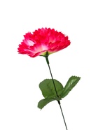 Цветы искусственные «Гвоздика», h=25 см, розовые - Фото 4