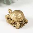 Нэцкэ фигурка под бронзу «Черепаха на монетах», Т-215 5.5×3.5×3 см - Фото 2