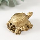 Нэцкэ фигурка под бронзу «Черепаха на монетах», Т-215 5.5×3.5×3 см - Фото 3