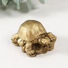 Нэцкэ фигурка под бронзу «Черепаха на монетах», Т-215 5.5×3.5×3 см - Фото 4