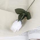 Цветы искусственные "Роза" 23 см, белый - фото 317913675
