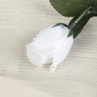 Цветы искусственные "Роза" 23 см, белый - Фото 2