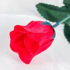 Цветы искусственные "Роза" 23 см, красный - Фото 2