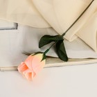 Цветы искусственные "Роза" 23 см, персиковый - Фото 1