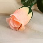 Цветы искусственные "Роза" 23 см, персиковый - Фото 2
