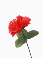 Цветы искусственные "Гвоздика 25 см, красная (20 шт) - фото 809294380