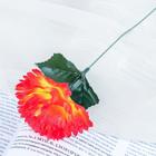Цветы искусственные "Гвоздика 25 см, оранжевый - Фото 1